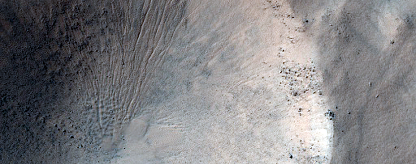Gully Monitoring