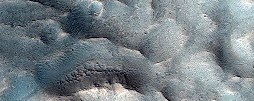 Branched Channels in Northern Mid-Latitudes