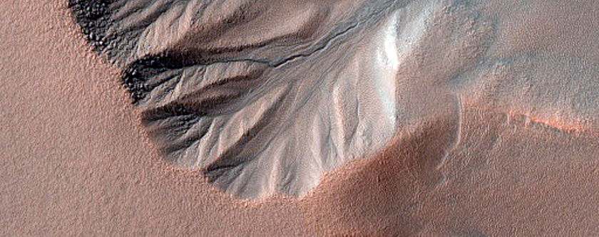 Gullies Along Depression in Lyell Crater