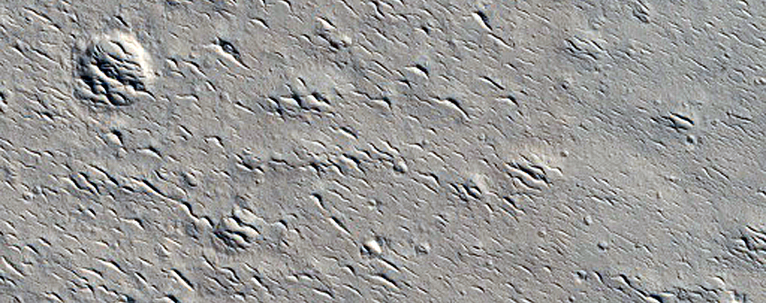 Candidate Recent Impact Site