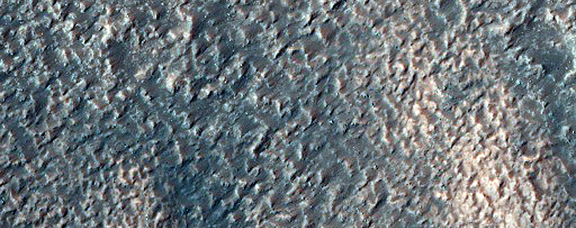 Channels in Newton Crater