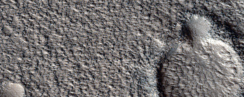 Proposed Site for Future Exploration in Phlegra Montes
