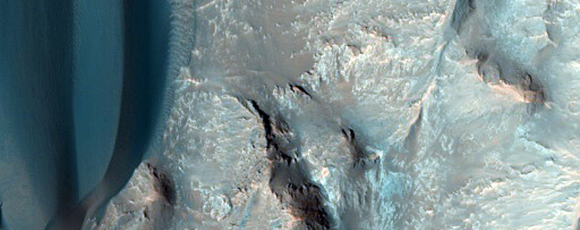 Dune Field
