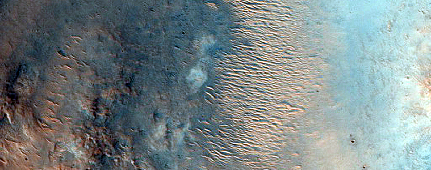 Phyllosilicate-Rich Terrain in Libya Montes