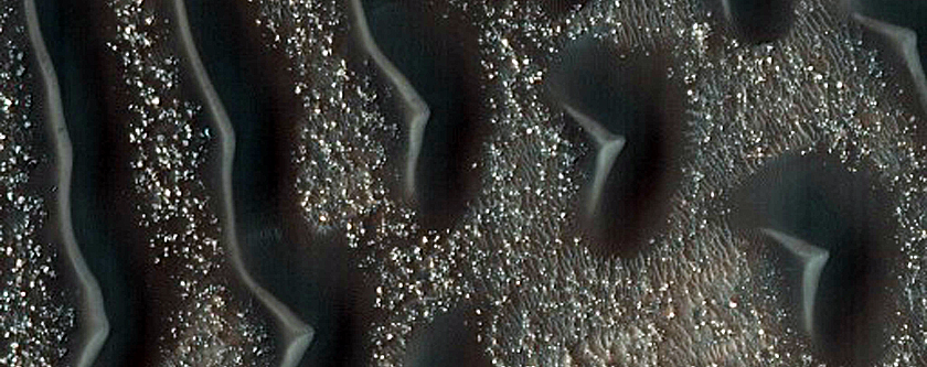 Dune Field