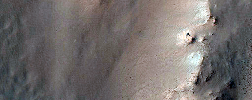 Gully Monitoring