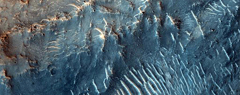 Dune Field
