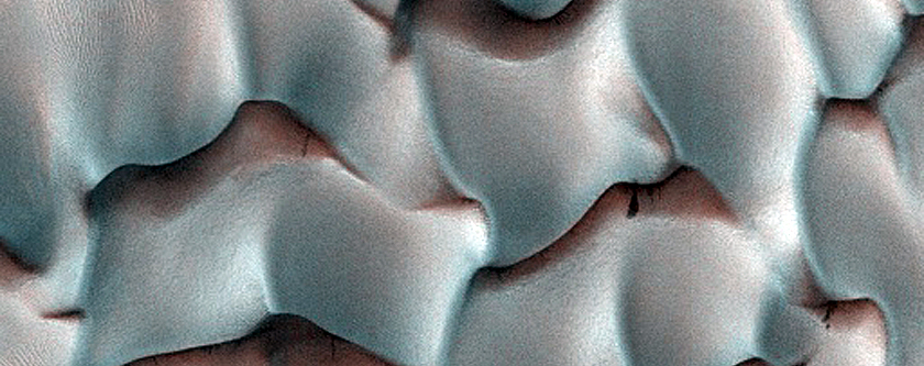 Dune Monitoring in Lyot Crater