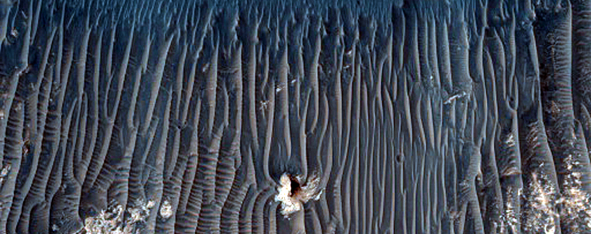 Light-Toned Deposits within Chaos Blocks of Western Iani Chaos