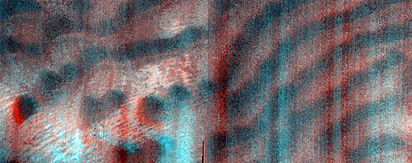 Dune Monitoring