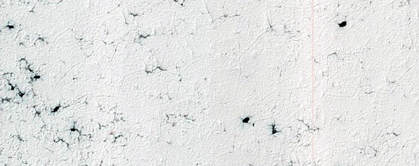 Spider Terrain