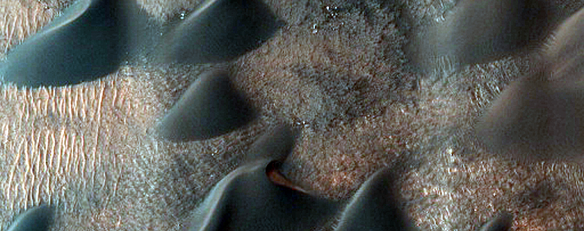 USGS Dune Database Entry Number 0465-417