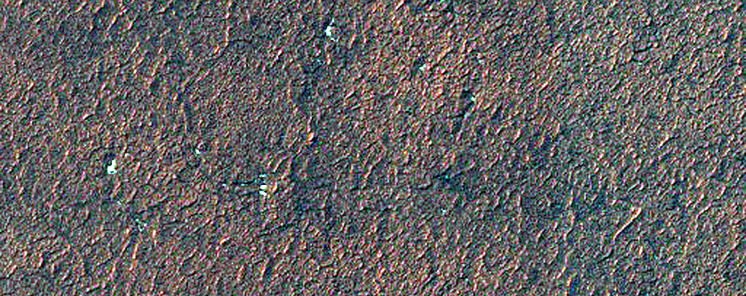 Isolated Spider Structures