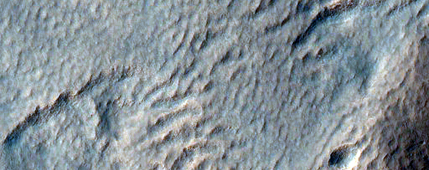 Gully and Scarp Monitoring