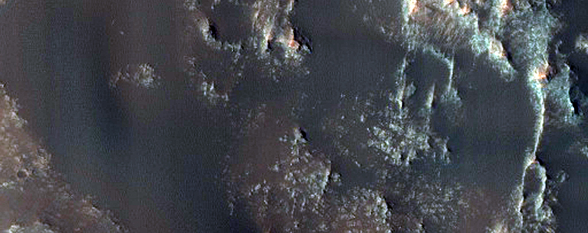Dune Field