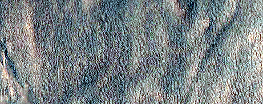 Gully Monitoring