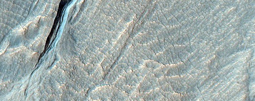 Gully Monitoring