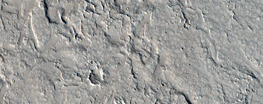 Terrain Sample