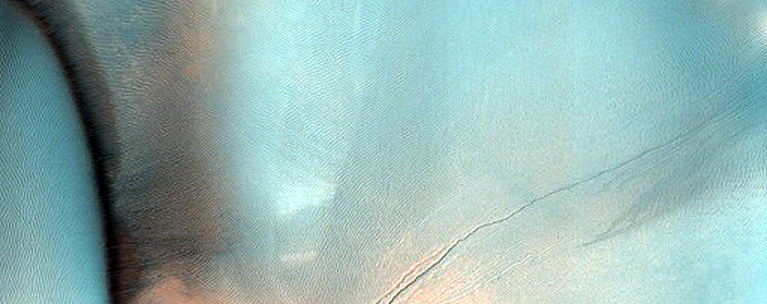 Dune Gully Monitoring in Proctor Crater