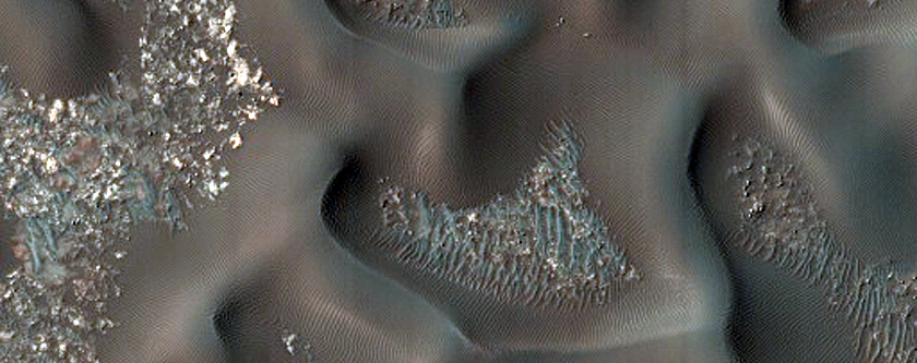 Dune Field