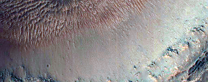 Light-Toned Layers Exposed in Crater on Terra Sirenum Crater Floor