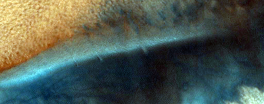 Dune Field