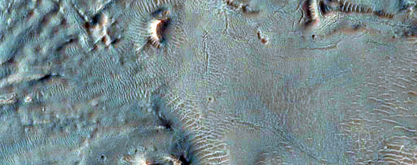 Gully Monitoring