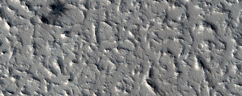 Candidate Recent Impact Site