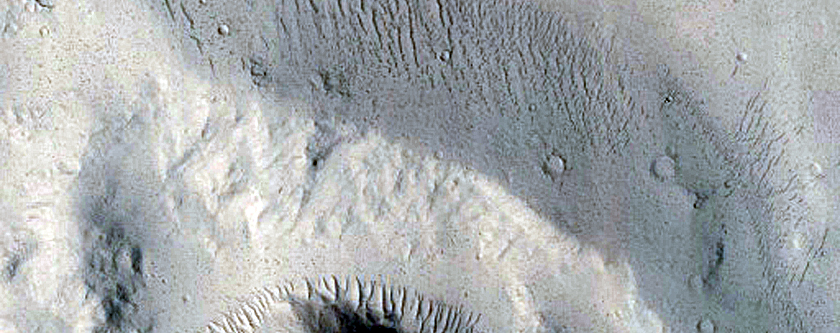 Frost Survey in Steep and Fresh-Looking Crater