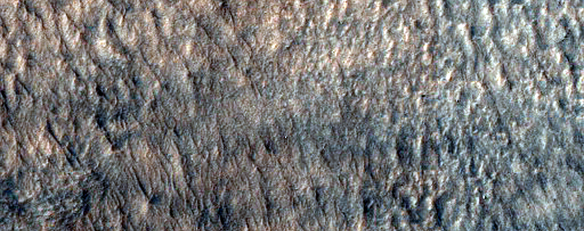 Hellas Planitia