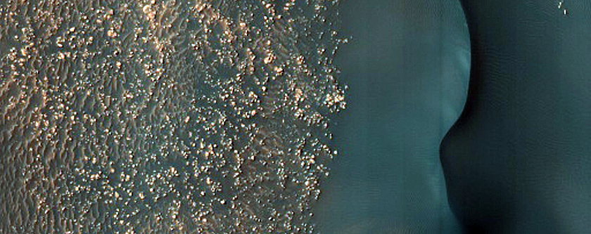Dune Survey