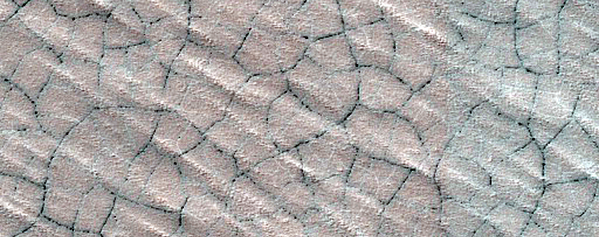 South Polar Perennial Ice Outlier Monitoring