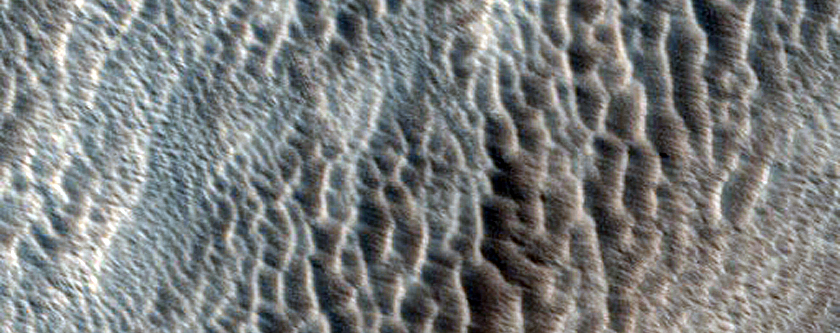 Candidate Recent Impact Site