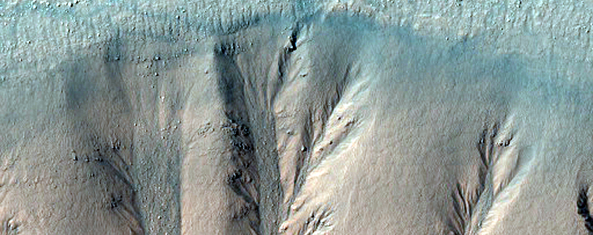 Gully Monitoring