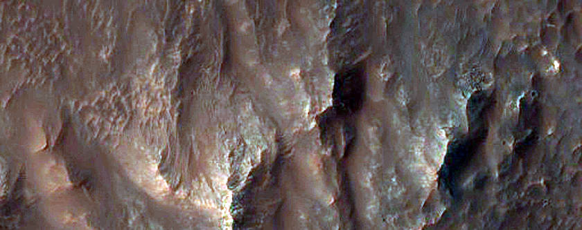 Gully Monitoring