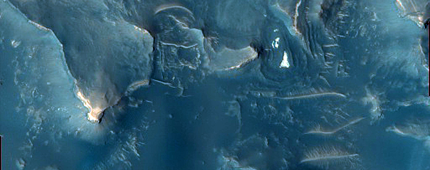 Dune Field