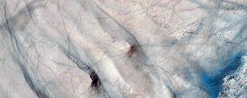 Gully Monitoring