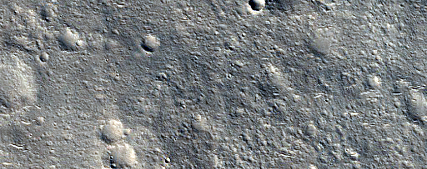 Pie-Like Feature in Nepenthes Planum