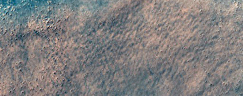 Dune Survey