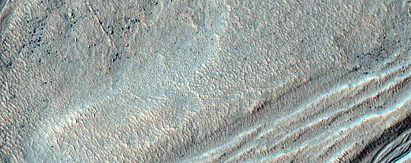 Gully Monitoring
