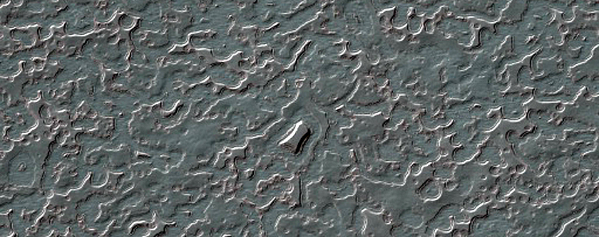 South Polar Residual Cap Monitoring Site
