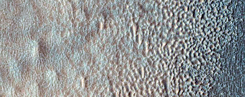 Gully Monitoring