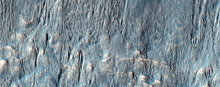 Network of Channels on Rim of Newton Crater