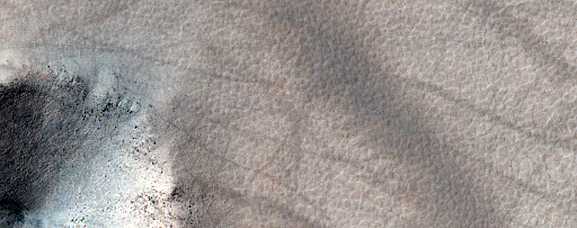 Small Fresh Crater