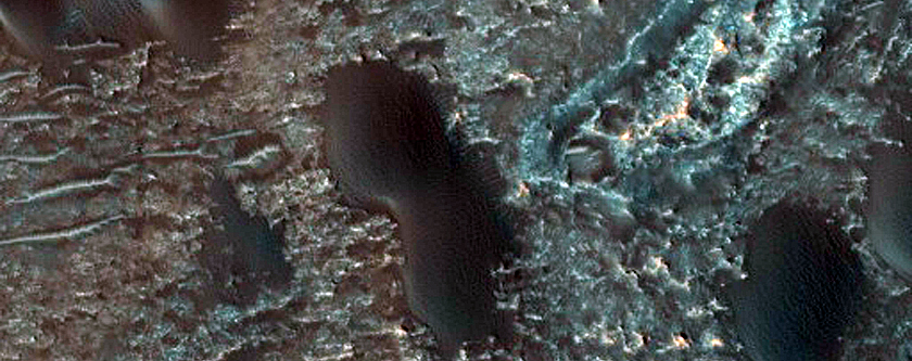Dune Field