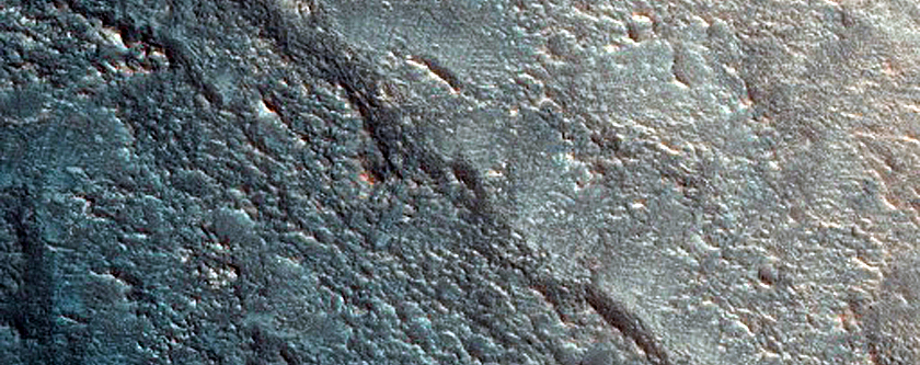 Dune Monitoring