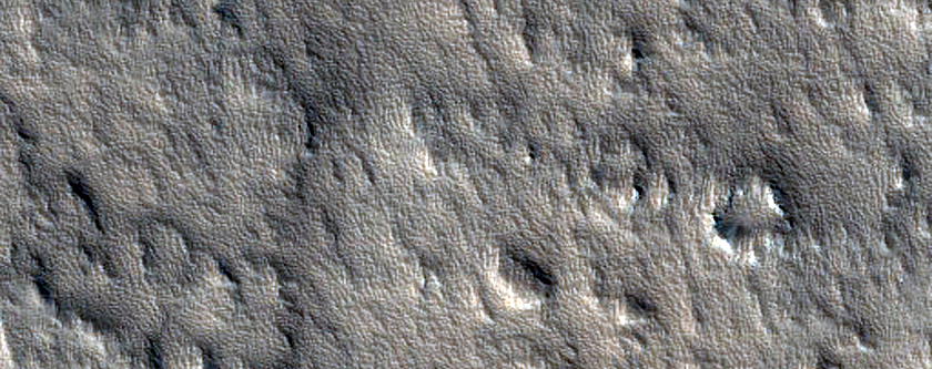 Olympus Mons