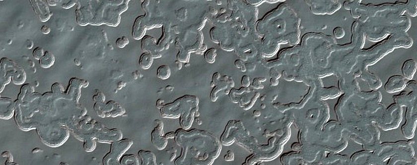 South Polar Residual Cap Monitoring Site
