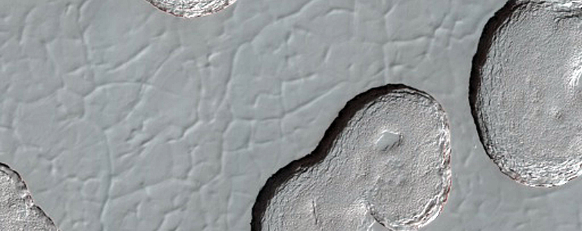 South Polar Residual Cap Monitoring