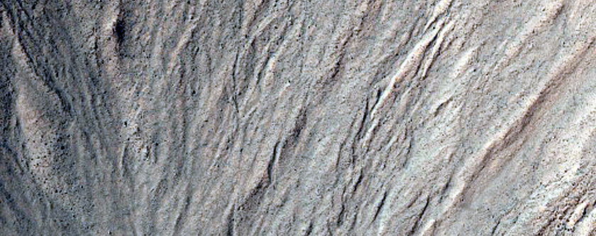 Gully Monitoring